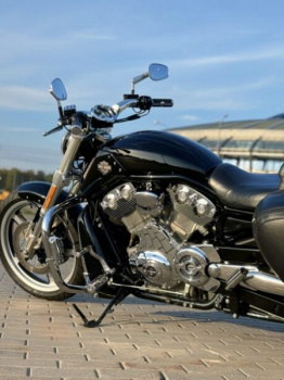 Harley-Davidson V-Rod Muscle 300!, 2016 г.