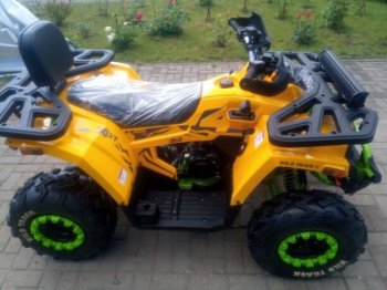 Motoland Wild Track X "WINCH" 200, 2026 г.