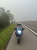 Honda CBR, 1998 г.