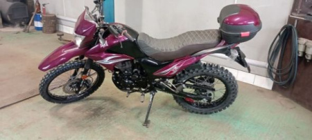 ЗиД YX, 2019 г.