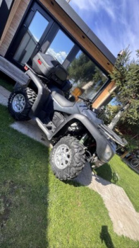 Stels ATV Dinli 700, 2010 г.