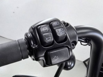 Harley-Davidson Sportster 1200, 2021 г.