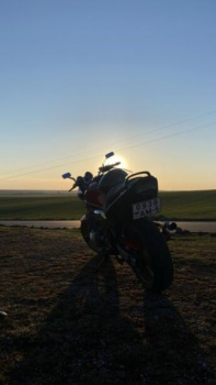 Suzuki GSF, 2001 г.