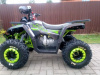 Motoland Wild X 125, 2026 г.