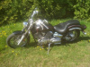 Yamaha XVS V star, 2002 г.