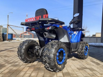Motoland Wild Track 200 X WINCH, 2025 г.