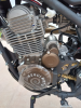 Regulmoto CR-X 300, 2024 г.
