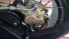 BMW R R1200GS Adventure, 2018 г.