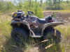 Yamaha Grizzly 700 eps, 2010 г.