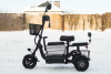  AVM DELTA TRIKE, 2026 г.