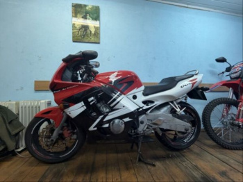 Honda CBR F3, 1995 г.