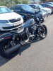 Harley-Davidson Nightster, 2023 г.