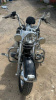 Harley-Davidson Softail FLSTN, 2011 г.