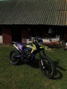 Progasi RACE 300 WAIF, 2024 г.