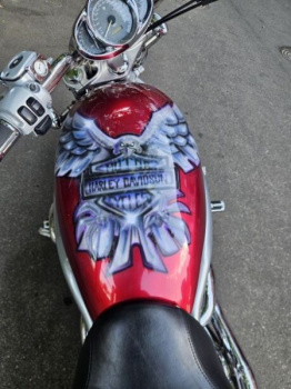 Harley-Davidson V-Rod, 2004 г.