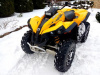BRP Renegade 800, 2011 г.