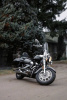 Yamaha XV, 2005 г.