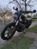 Harley-Davidson Nightster RH975, 2023 г.