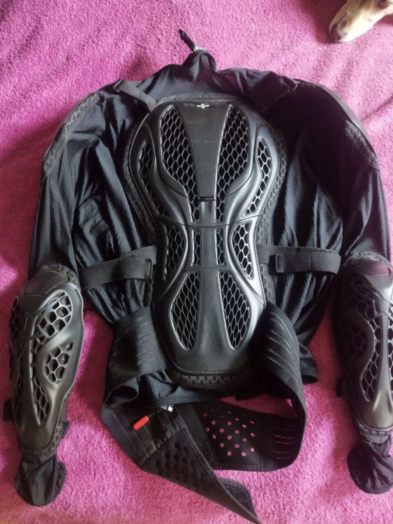 Моточерепаха Alpinestars Bionic Action Jacket ALPINESTARS