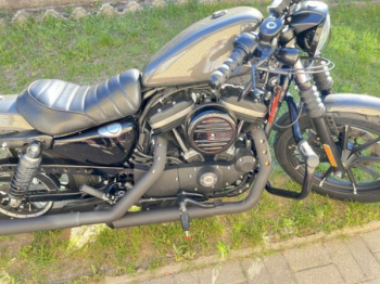 Harley-Davidson Sportster 883 iron, 2019 г.