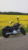 Harley-Davidson Sportster XL1200 Forty Eight Special, 2019 г.