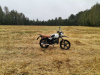 Racer RC, 2025 г.