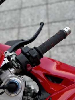 Ducati Superbike Panigale V4S, 2020 г.