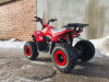 Yacota ATV Raposa 110cc, 2024 г.