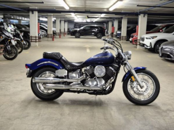 Yamaha XVS 1100, 2007 г.