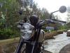 Royal Enfield Bear 650, 2025 г.