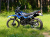 Racer Panther Pro, 2026 г.