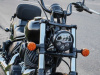 Indian Chief, 2021 г.