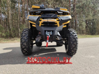 Motoland Wild Track X Plus (VOX250), 2025 г.