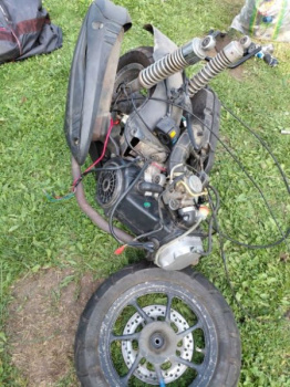 Vento Naked, 2020 г.