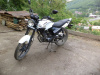 Классик Racer Tiger RC150-23, 2026 г.