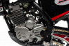 Motoland Enduro PWR FS250 (172 FMM), 2025 г.