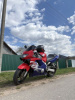 Honda CBR, 1999 г.