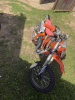 Motoland Enduro, 2026 г.