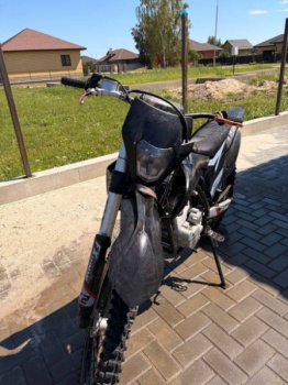 Avantis FX 250 basic, 2023 г.