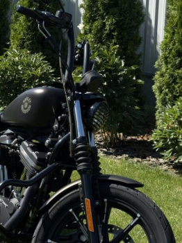 Harley-Davidson Sportster 883N, 2021 г.