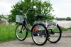  AVM E-ALFA TRIKE 24, 2026 г.
