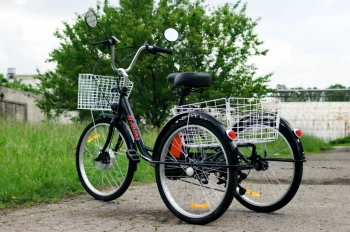 AVM E-ALFA TRIKE 24, 2026 г.
