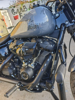 Круизер/чоппер Harley-Davidson Softail Harley-Davidson Softail Low Rider S 117, 2022 г.