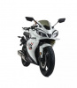 Motoland R1 300, 2026 г.