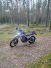 Regulmoto CR-X, 2024 г.