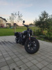 Indian Scout Bobber, 2023 г.