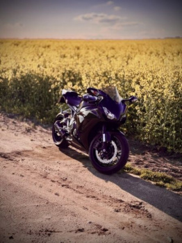 Honda CBR, 2014 г.