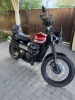 Triumph Scrambler, 2017 г.
