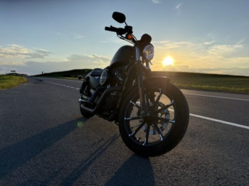 Harley-Davidson Sportster XL883 iron, 2019 г.