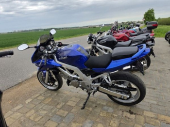 Suzuki SV, 2004 г.